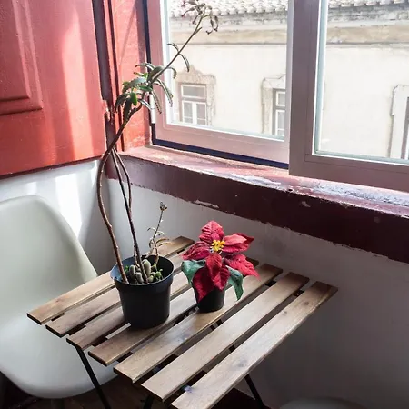 Casa de hóspedes Saudade